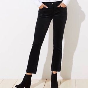 Loft Black Velvet Jeans, 16 Curvy Skinny